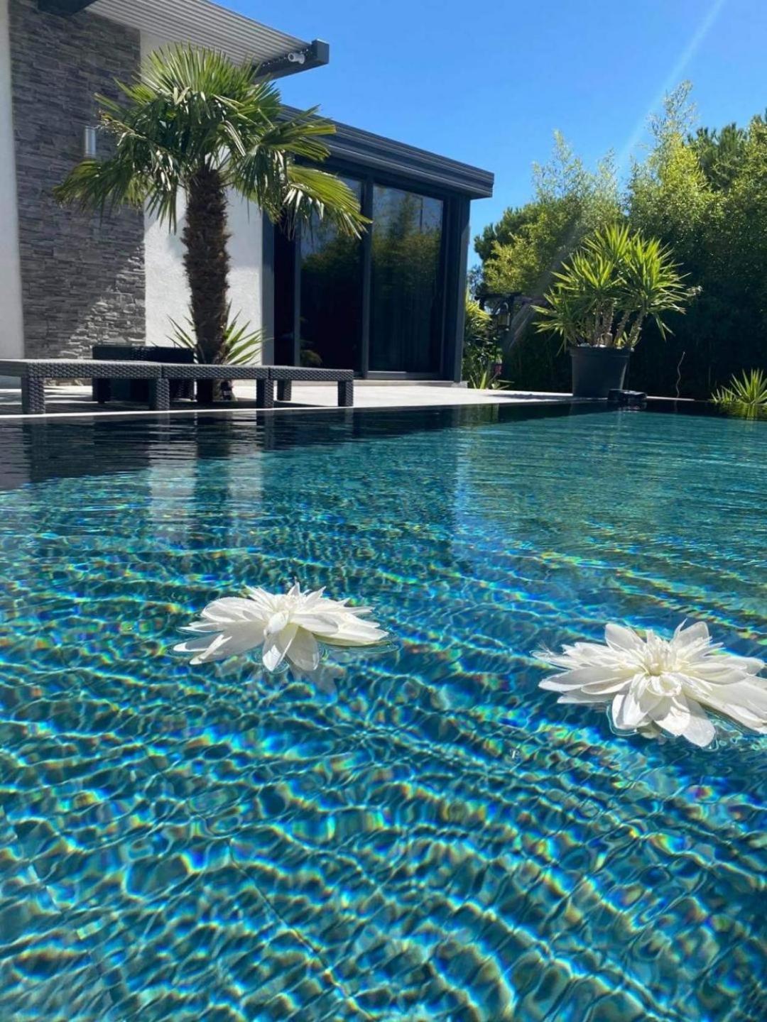 Mon Petit Bali Bed & Breakfast Мосан ле Алпил Екстериор снимка